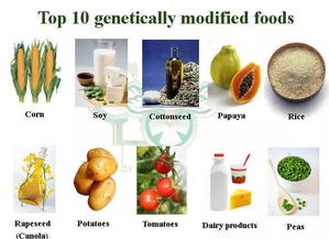 绿色有机食品 健康与环境双赢的选择